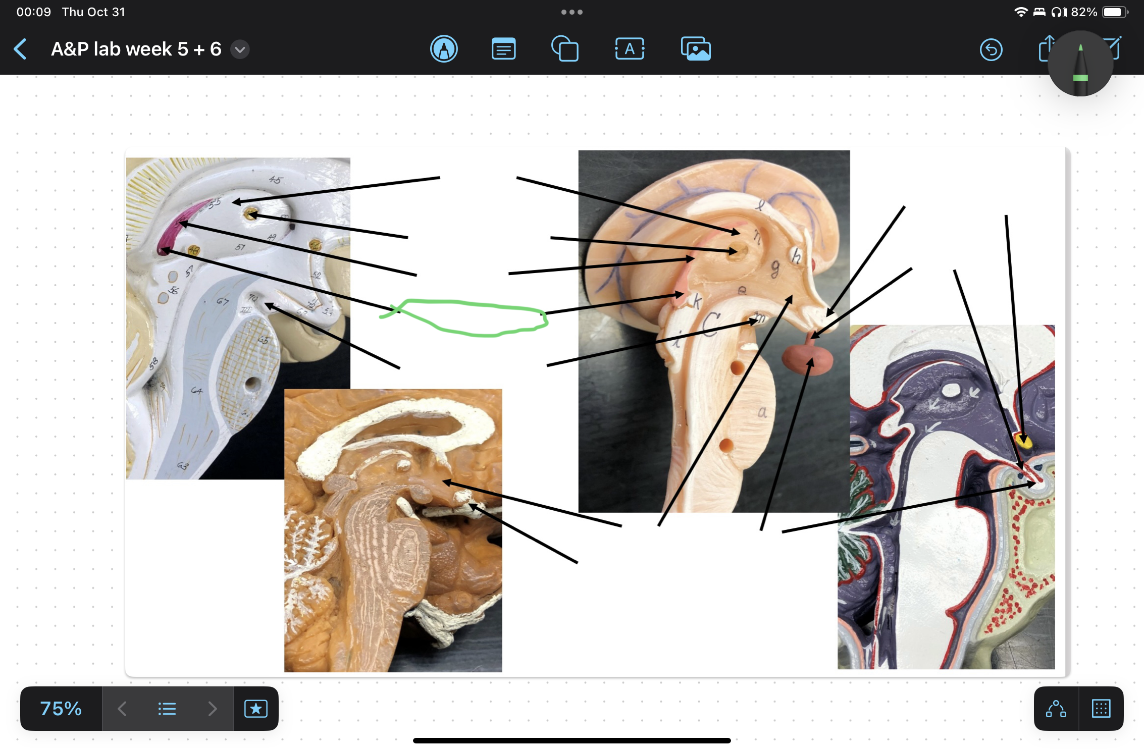 knowt flashcard image