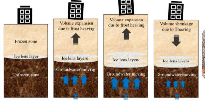 * Periglacial process


* Common in discontinuous layers
* Air pockets in soil fill with water then eventually freeze and cause an ice lens which is enough force to displace the surface above
* Can go up and down throughout the season
  * Very dynamic!
* Big problem with construction in Northern/Colder climates