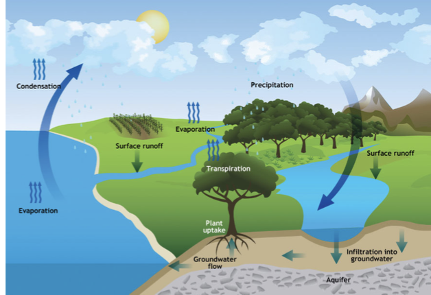 <p>Hydrologic cycle</p>