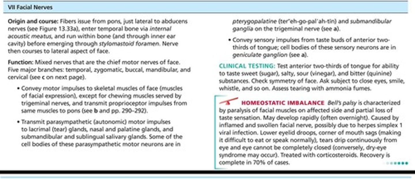 <p>Fibers from pons travel through internal acoustic meatuses and emerge through stylomastoid foramina to lateral aspect of face. Chief motor nerves of face with five major branches. Motor functions include facial expression, parasympathetic impulses to lacrimal, and salivary glands. Sensory function (taste) from anterior two-thirds of tongue.</p>