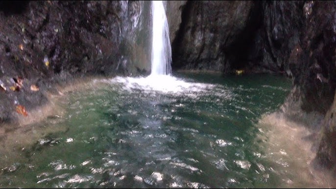 <p>what river feature is this</p>