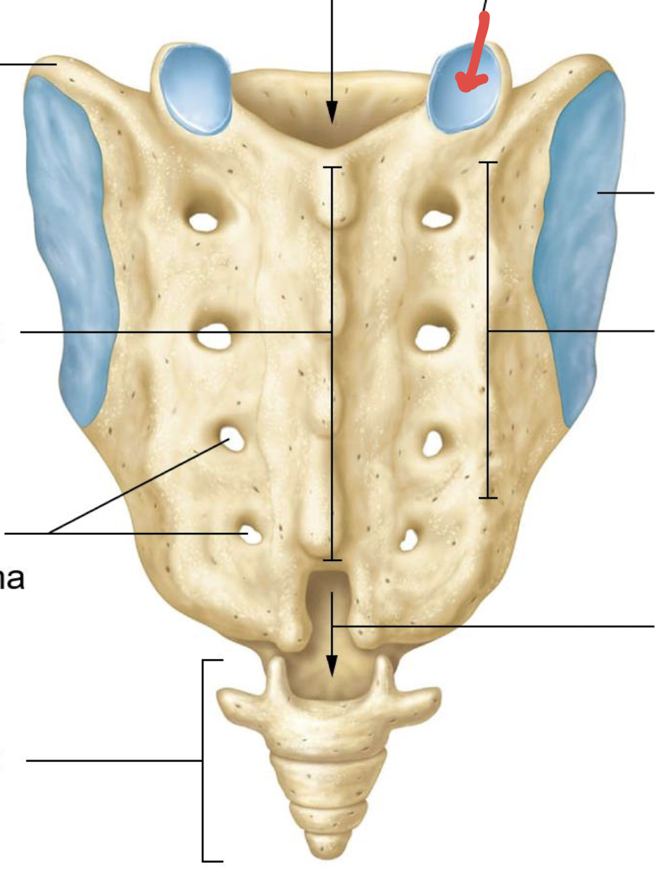<p>what is this?</p>