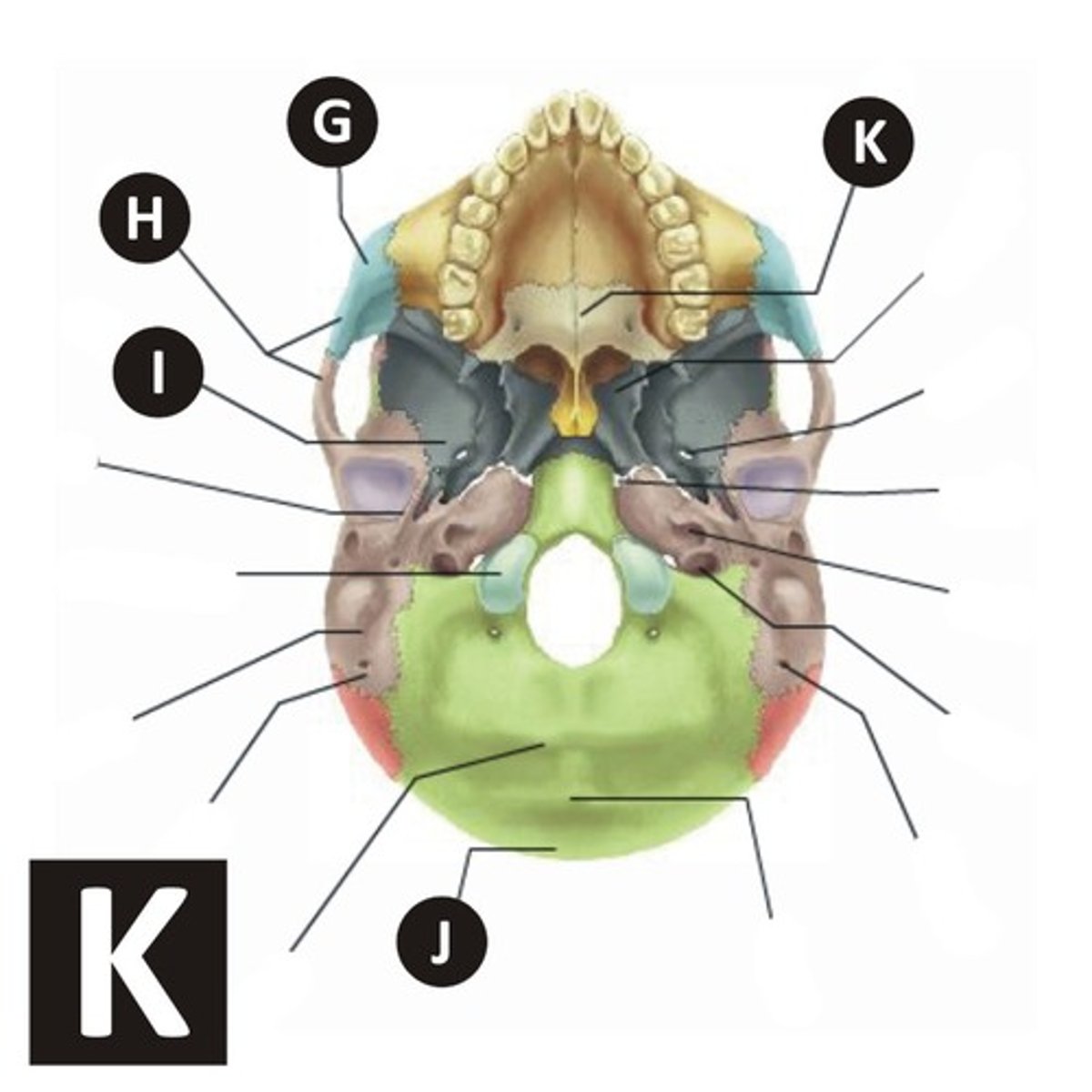 knowt flashcard image