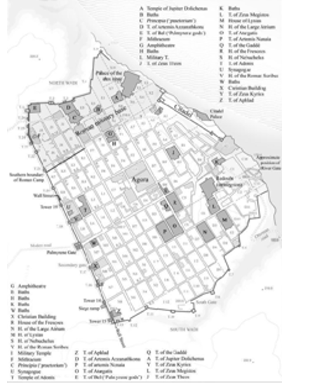 term image