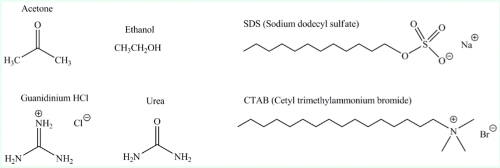 <p>The <strong>hydrophobic core</strong> of proteins.</p>