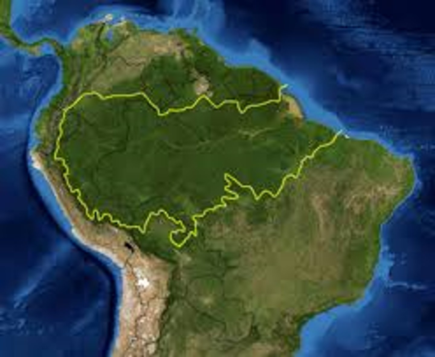 <p>moist forest that covers most of the Amazon Basin and is nicknamed the "Lungs of the Earth" because its trees produce so much oxygen</p>