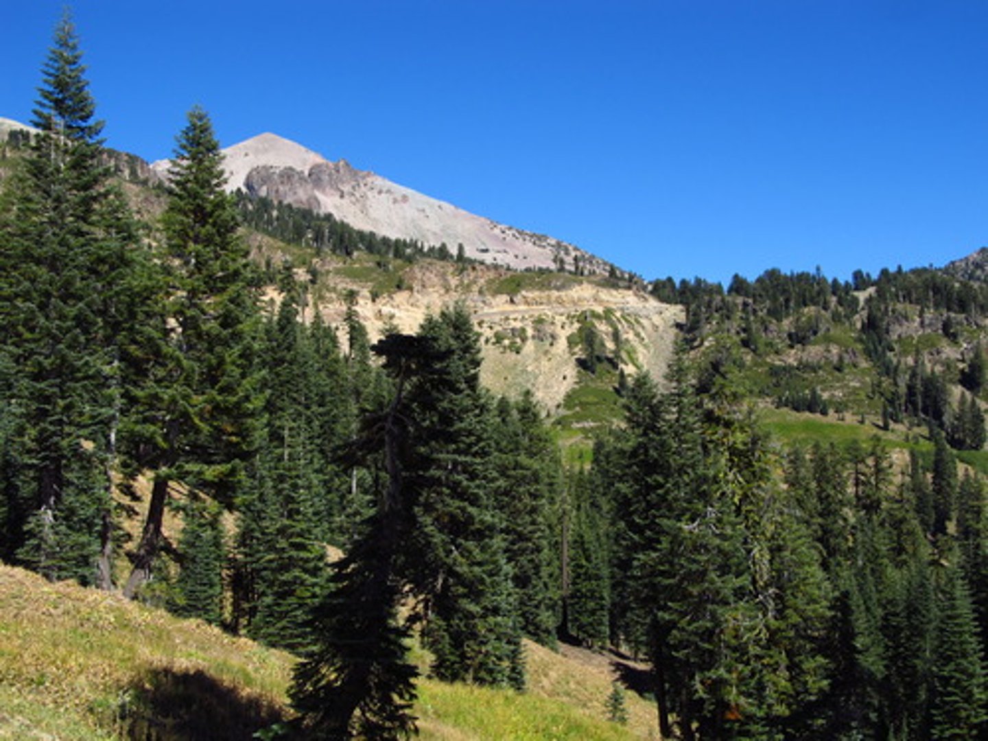 <p>California</p>