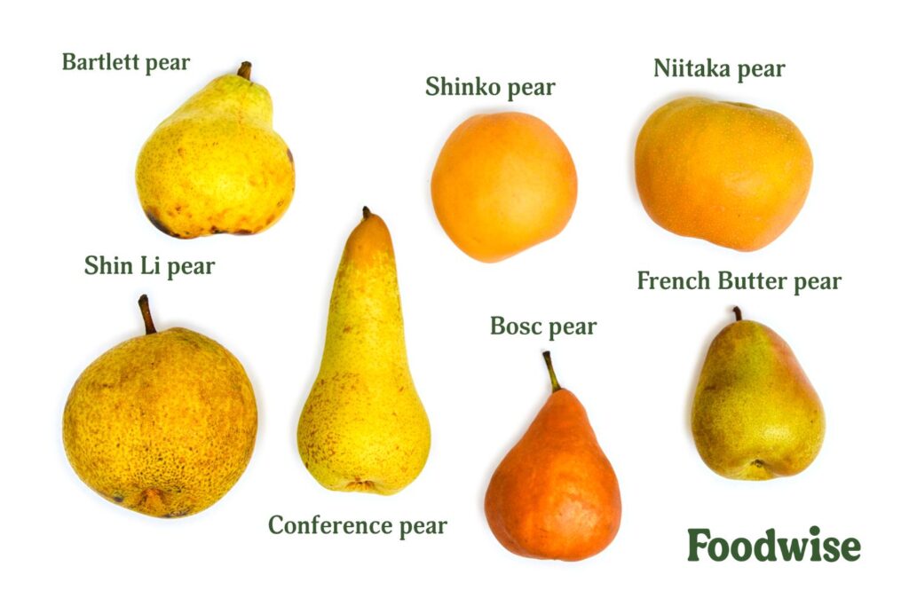 <p>pear(n) </p>