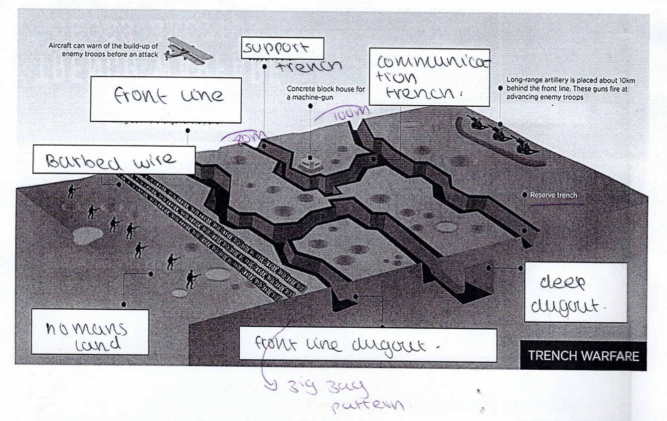 knowt flashcard image