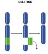 <p><span>When part of a chromosome or allele is left out. </span></p><p><span>Ex. Prader-Willi Syndrome and Cri du’ Chat Syndrome </span></p><p></p>