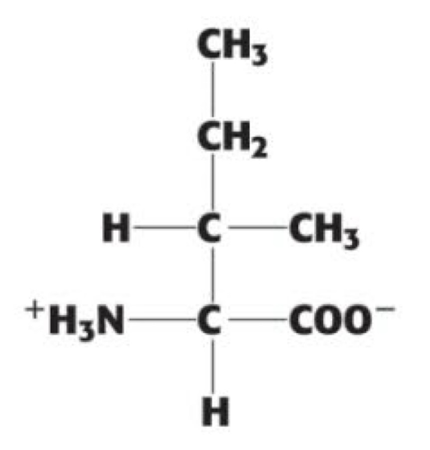 <p>(Ile, I). non-polar aliphatic</p>
