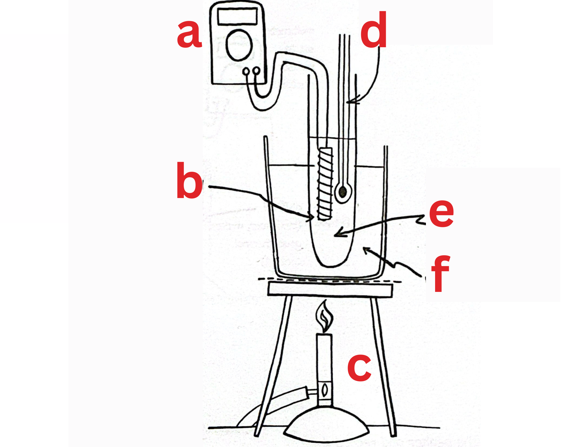 <p>Label This Diagram</p>