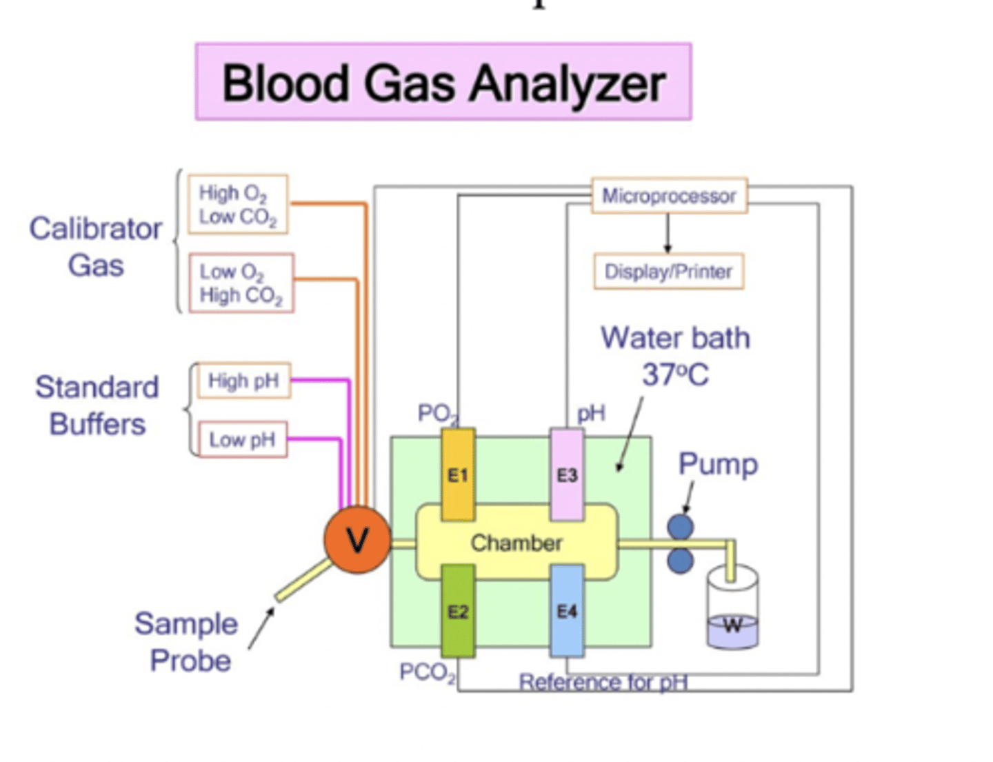 <p>- detect ions and partial pressure of gases in blood</p><p>- arterial blood gas (ABG) analyzer uses combination of ion-selective electrodes and oxygen sensors to measure pO2, pCO2, electrolytes</p>