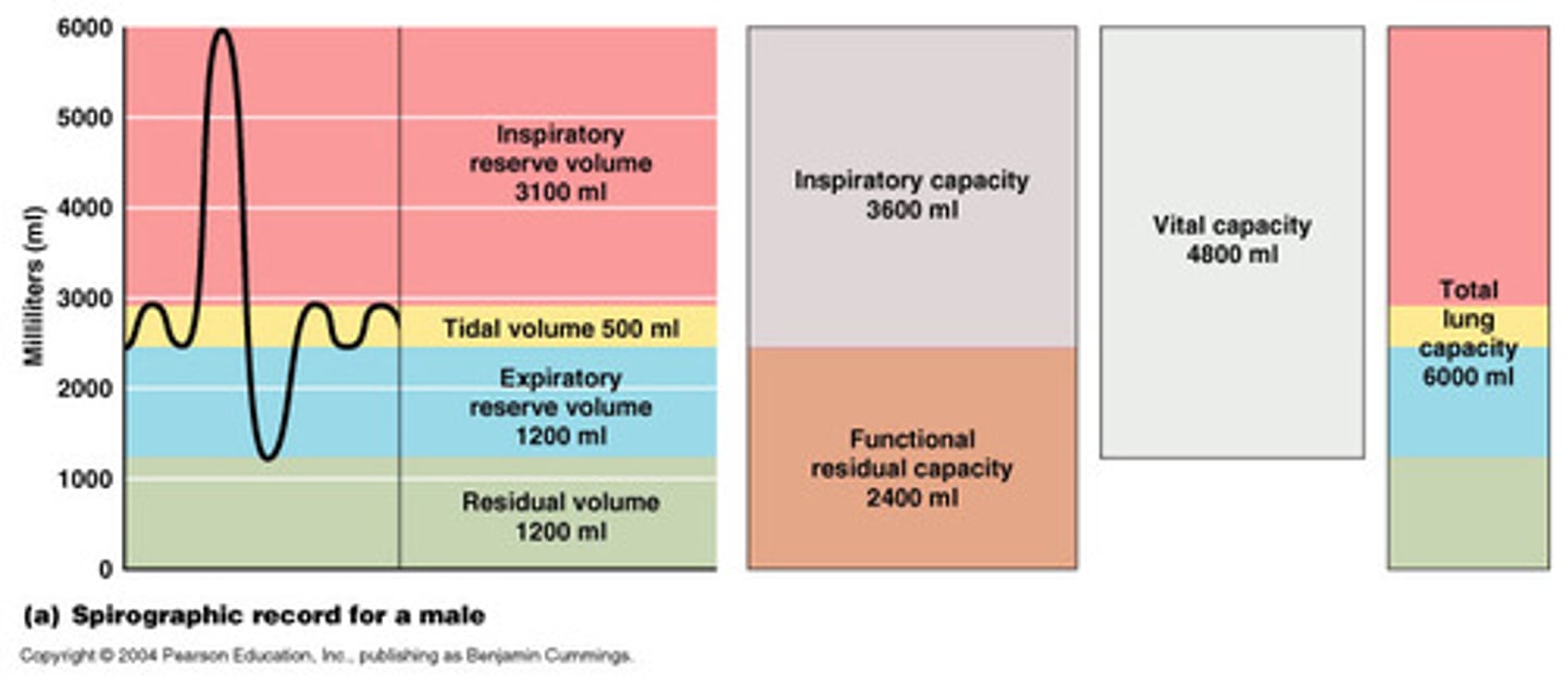 <p>tidal volume + inspiratory reserve volume</p>
