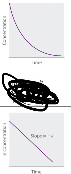 <ol><li><p>Concentration vs time</p></li><li><p>Integrated Rate Law | ln [a]t/[b]o = -kt</p></li></ol><p>Or ln[a]t=-kt + ln[a]o</p><ol><li><p>Determine Rate Constant</p></li></ol><p></p>