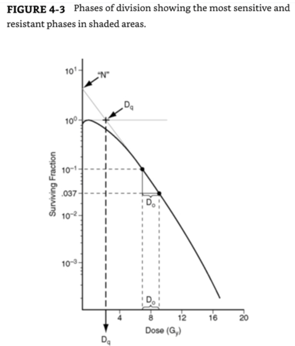 <p>Single-hit, single-target theory and single-hit, multiple-target theory.</p>