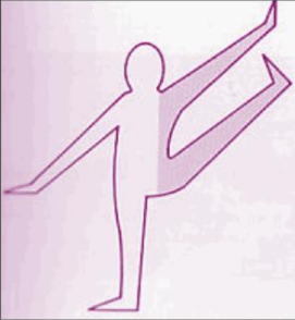 <p>What combined movement pattern is shown on the picture?</p>