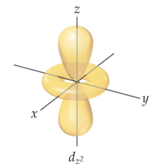 <ol><li><p>S - spherical shape, holds 2 electrons, 1 orientation (m<sub>l</sub>=0), l=0</p></li><li><p>P - dumbbell shape, holds 6 electrons, 3 orientations (m<sub>l</sub>= -1, 0, 1), l=1</p></li><li><p>D - four leave clover shape, holds holds 10 electrons, 5 orientations (m<sub>l</sub>= -2, -1, 0, 1, 2), l=2</p></li><li><p>F - ring shape, holds 14 electrons, 7 orientations (m<sub>l</sub>=&nbsp;-3,-2,-1, 0,+1,+2,+3), l=3</p></li></ol><p></p>