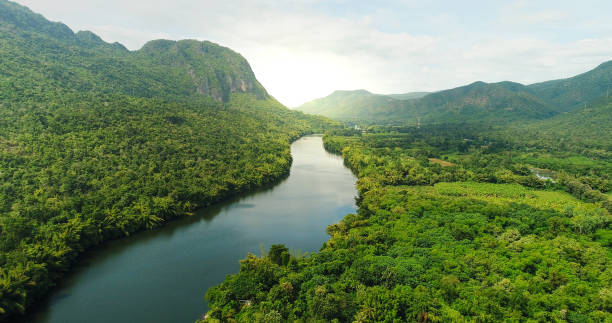 <p><strong>river</strong></p><p>/ˈrɪvə(r)/ Noun</p>