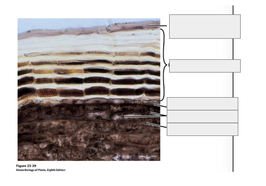 <p>Label this diagram and what does it represent?</p>