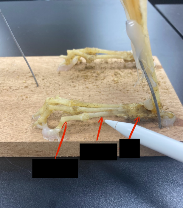 <p>What part is this</p>