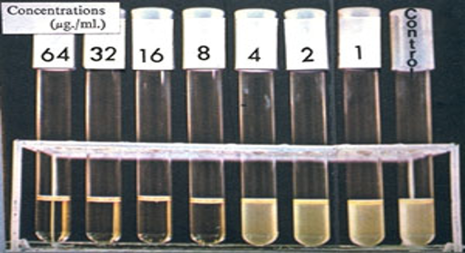 In Vitro susceptibility testing-tube dilution tests
In the picture what is the MIC