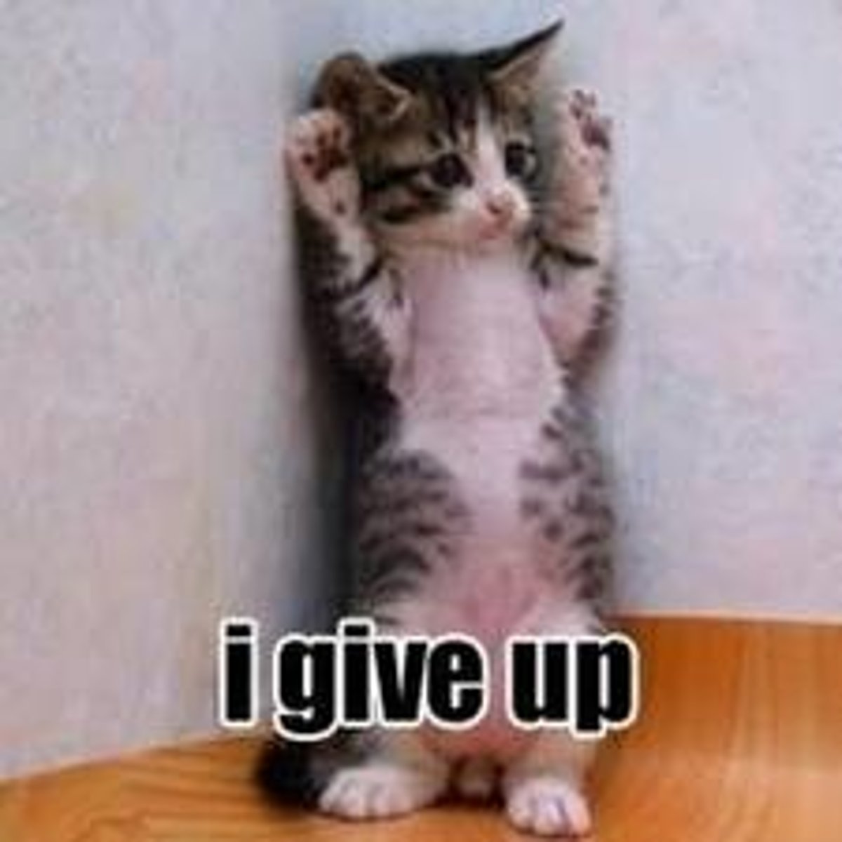 <p>to give something up</p>