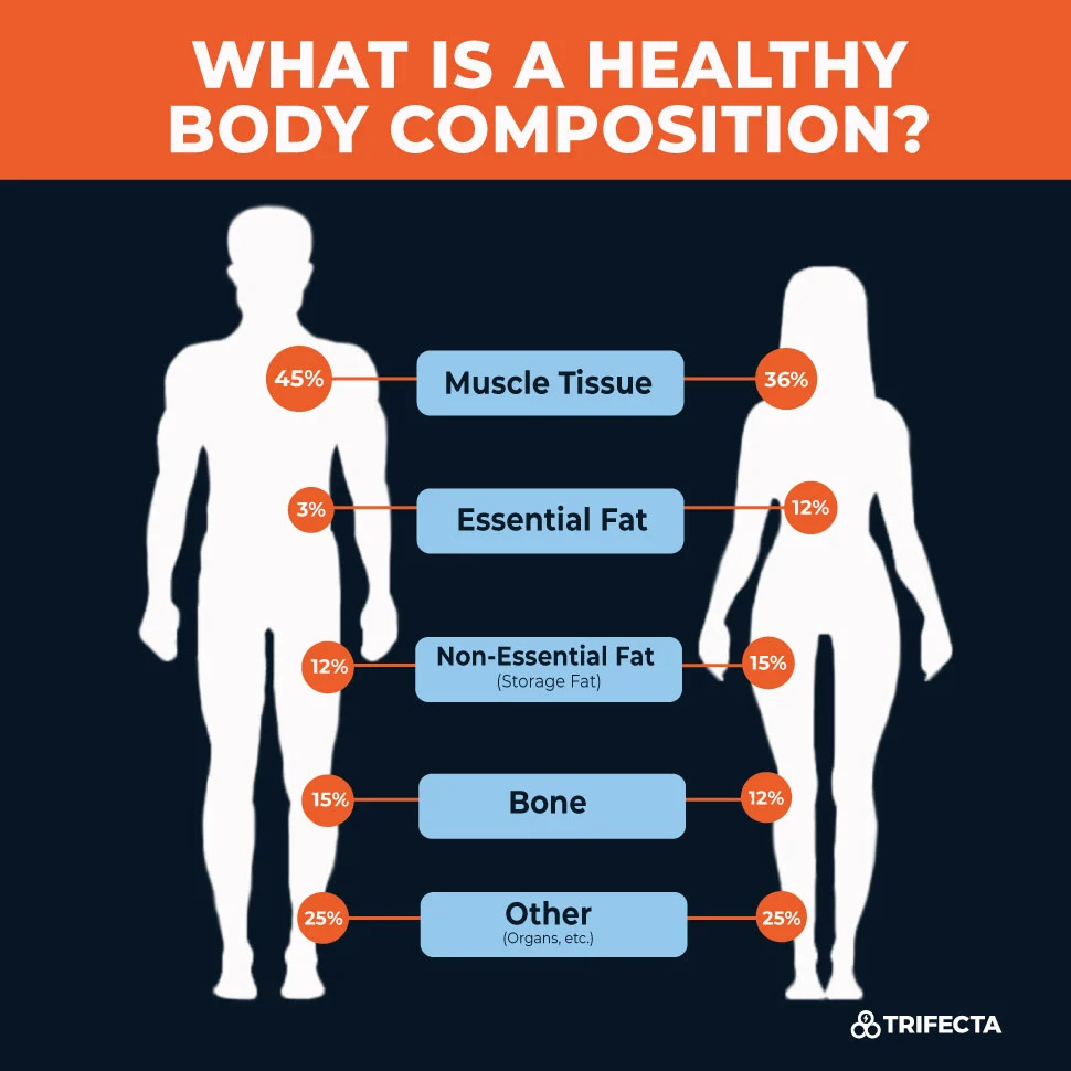 <p>Body Composition</p>