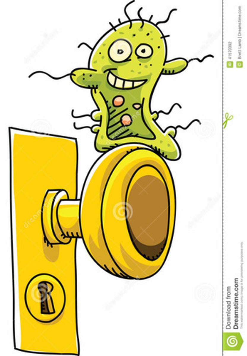 <p>infections that spread from when an infected individual sneezes or coughs allowing transmission to occur through air droplets or fomites.</p>