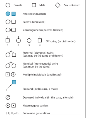 <p>pedigree symbols</p>