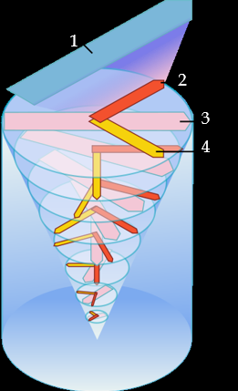 <ol><li><p>Wind</p></li><li><p>Force from friction </p></li><li><p>Direction of water movement </p></li><li><p>Force from Coriolis effect</p></li></ol><p>(Doesn’t do a complete spiral)</p><p>(Shallow, deepest found at 50 m) </p>
