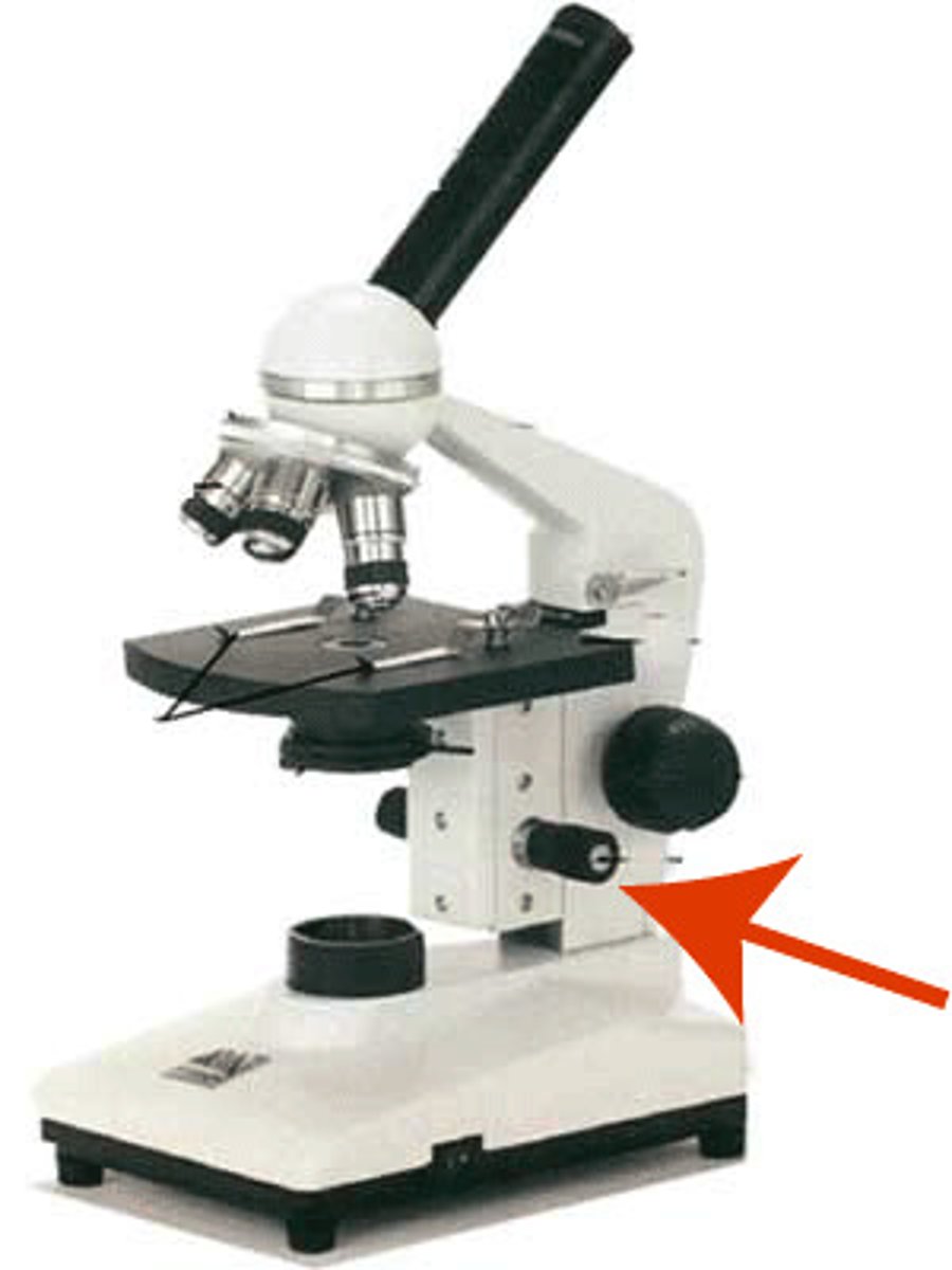 <p>moves stage up &amp; down slightly, brings objects into focus, use w/ high power</p>