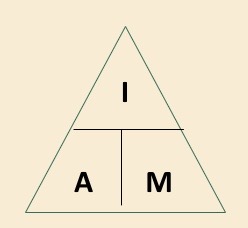 <p>image / actual </p>