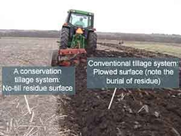 <p>Soil conservation strategies in which fields are not tilled (ploughed) or seeds are directly sown without ploughing.</p>