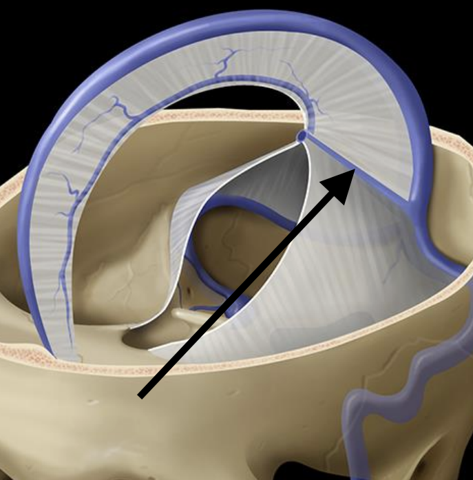 <p>Name the structure</p>