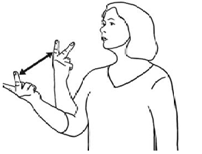 term image