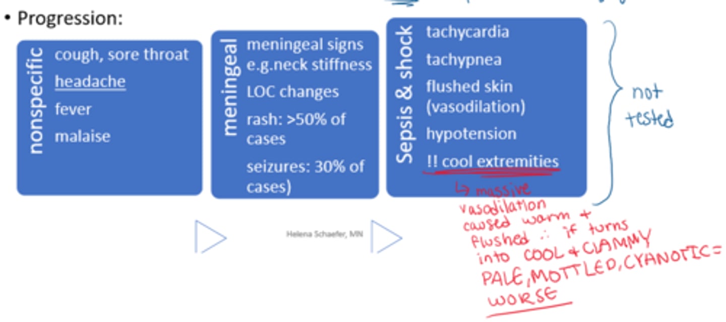 <p>- serious, progresses fast</p><p>- high morbidity/mortality rates</p><p>- eg. bacterial meningitis (eg. Neisseria meningitidis) => may not have s&amp;s of meningitis! may develop rash first!</p>