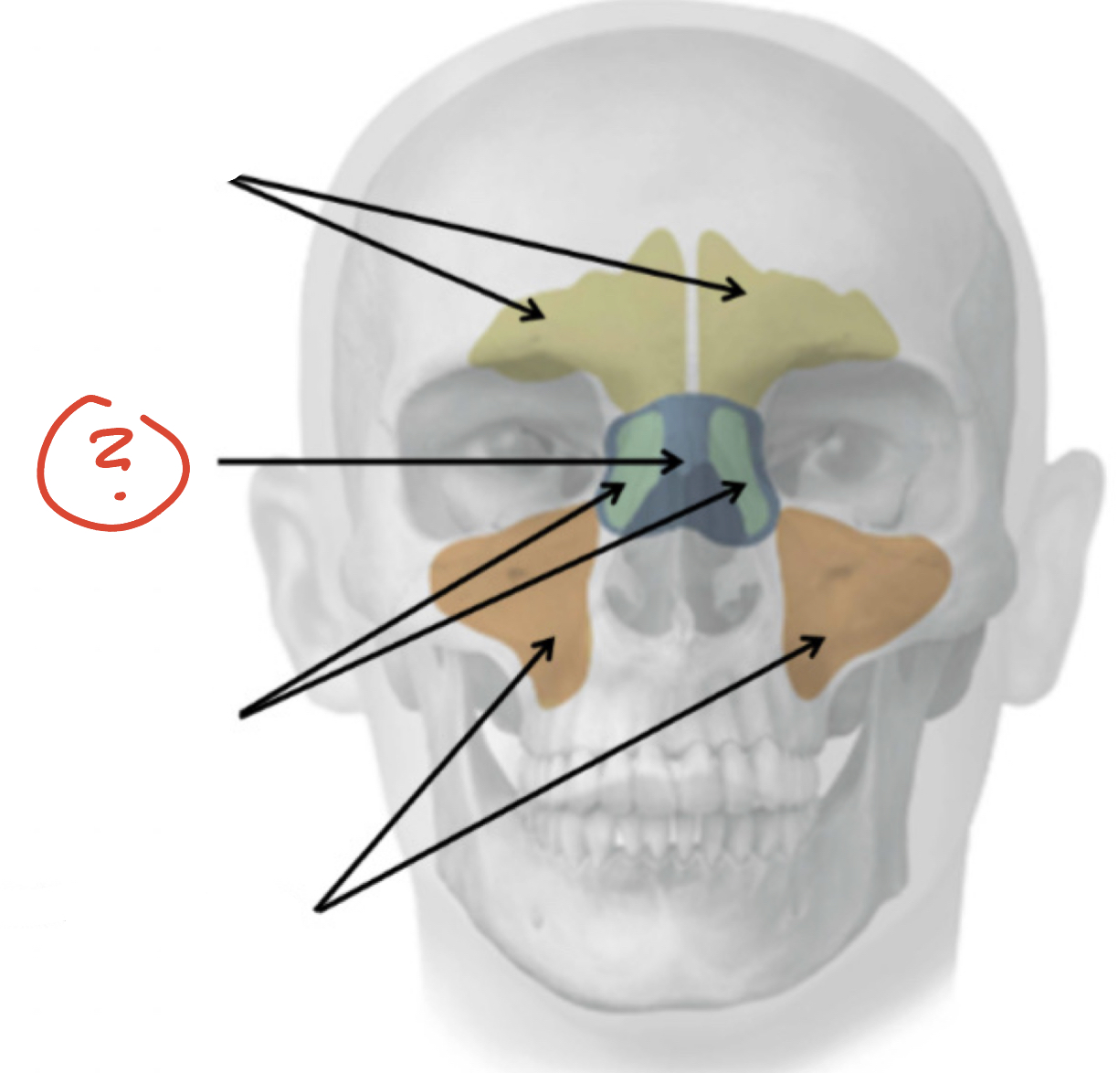 term image
