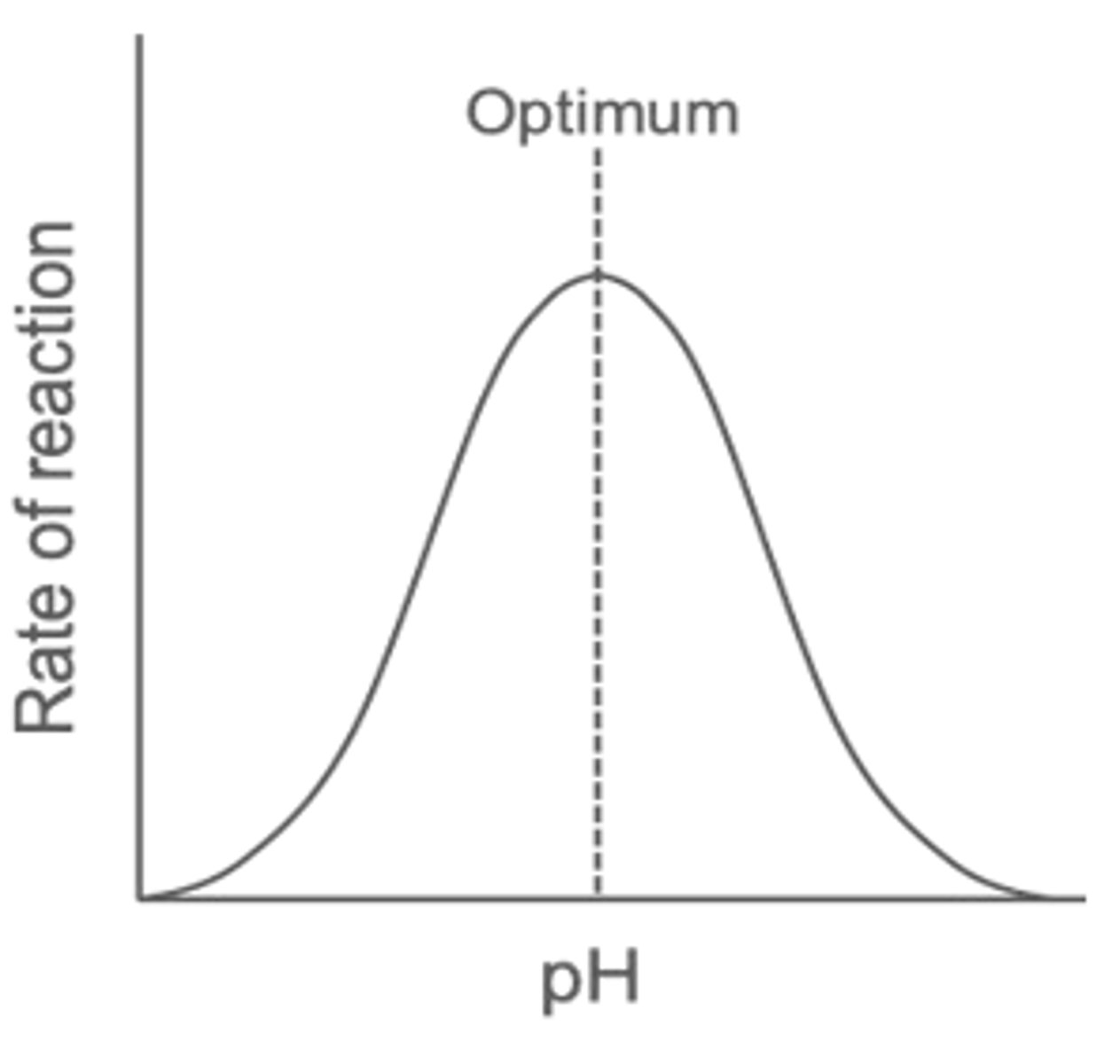 <p>Enzymes have a narrow optimum pH range.</p><p>Outside range, H+/ OH- ions interact with H-bonds &amp; ionic bonds in 3° structure = denaturation.</p>