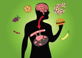 <p>Among the food that are <em>easier</em> to <strong>digest</strong> and <strong>convert</strong> into <em>energy</em> are</p>