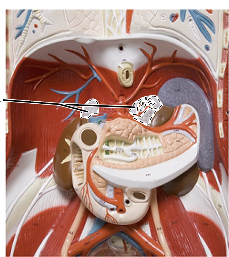 <p>What is this?</p>