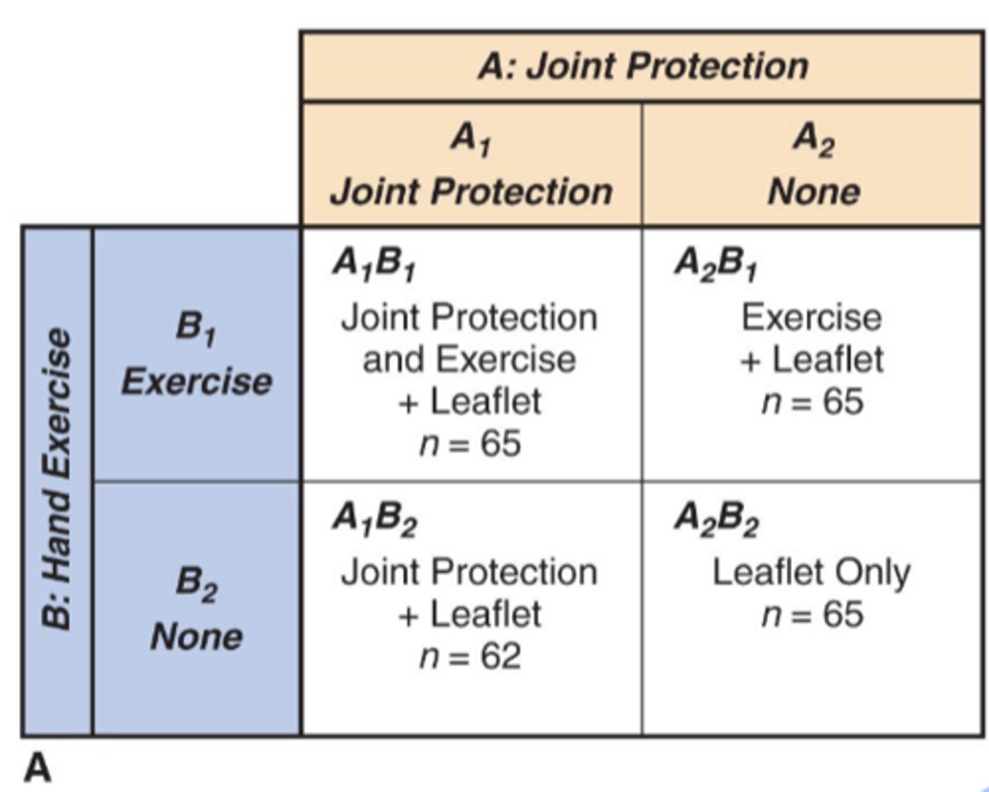 <p>- 2 independent variables (joint protection, hand exercise)</p><p>- each IV has 2 levels (2x2)</p><p>- 4 total groups</p>
