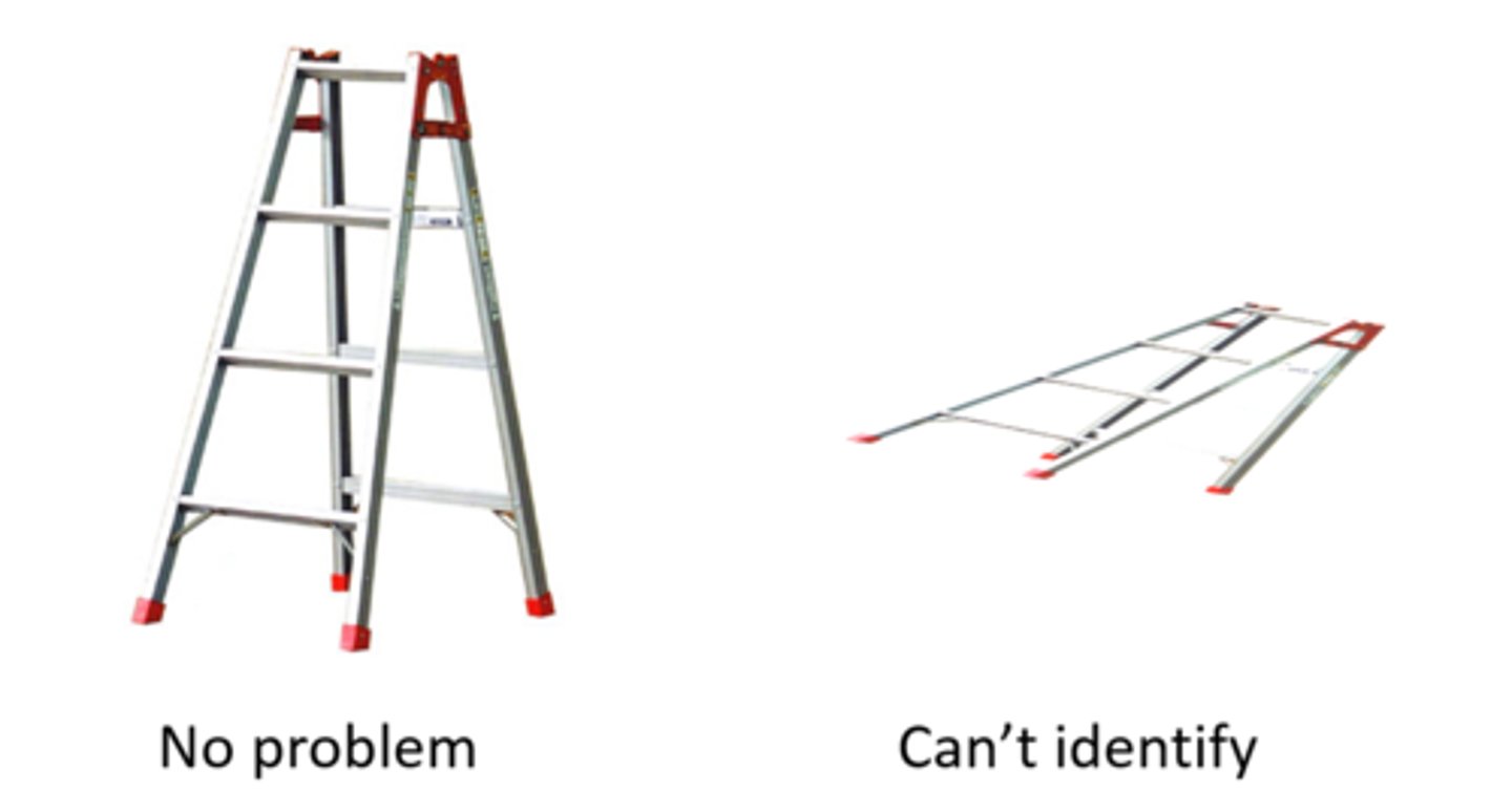<p>a disorder in which a patient cannot recognize objects form unusual views</p>