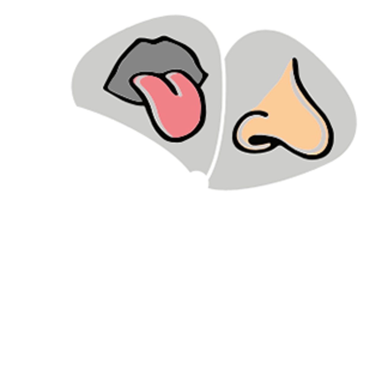 <p>smell and taste because receptors are detecting specific chemicals</p>