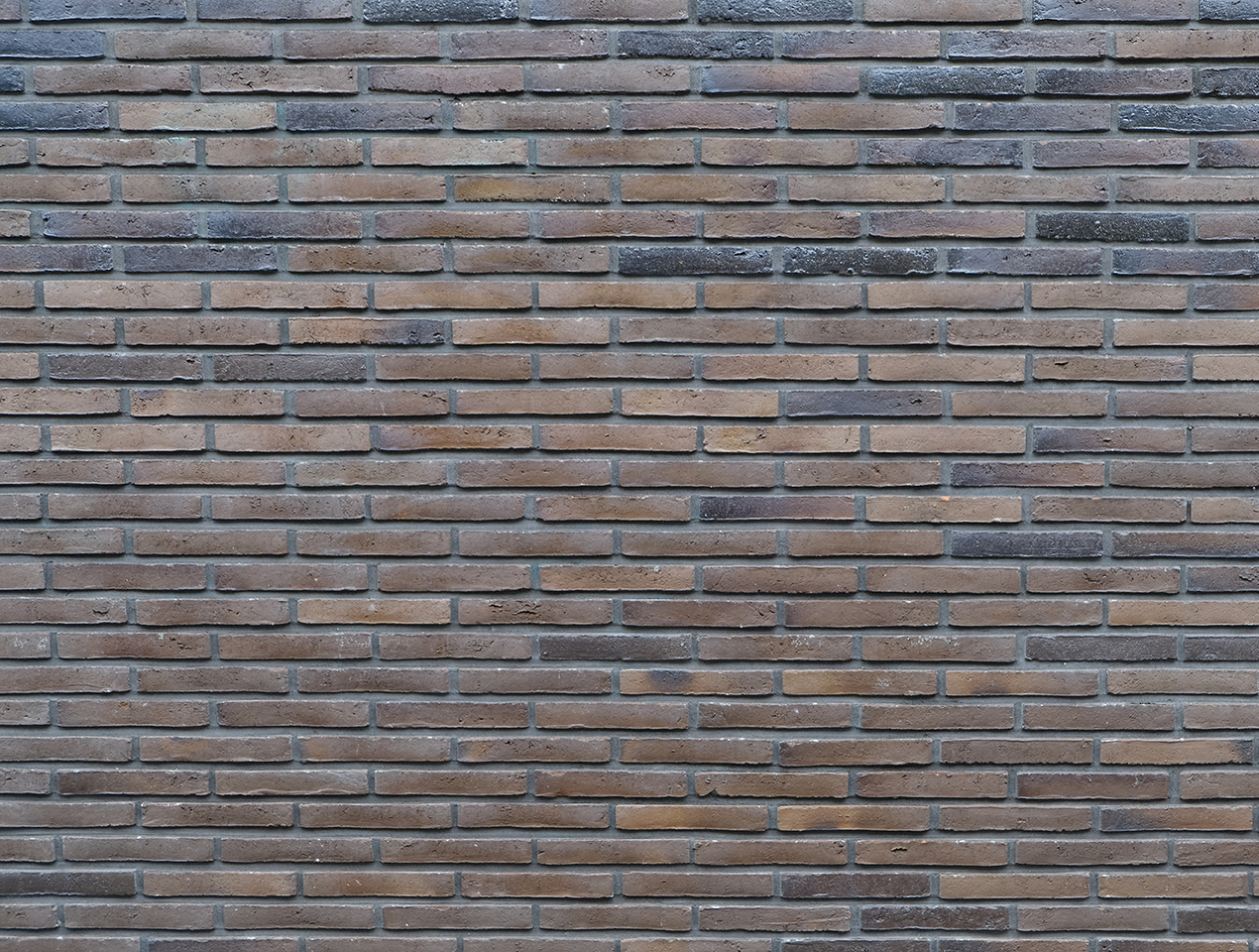 <p>de muur</p>