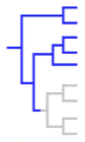 <p>this is a — group</p>