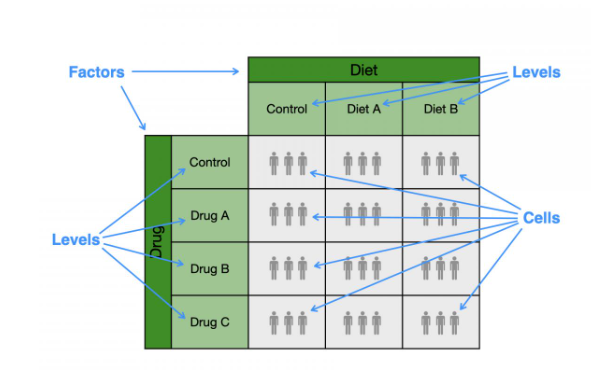<p>Structure of a two-factor ANOVA</p>