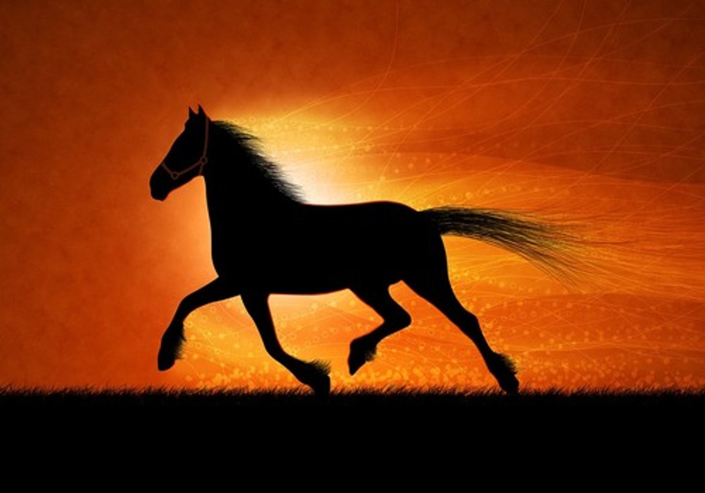 <p>An animal with four feet</p>