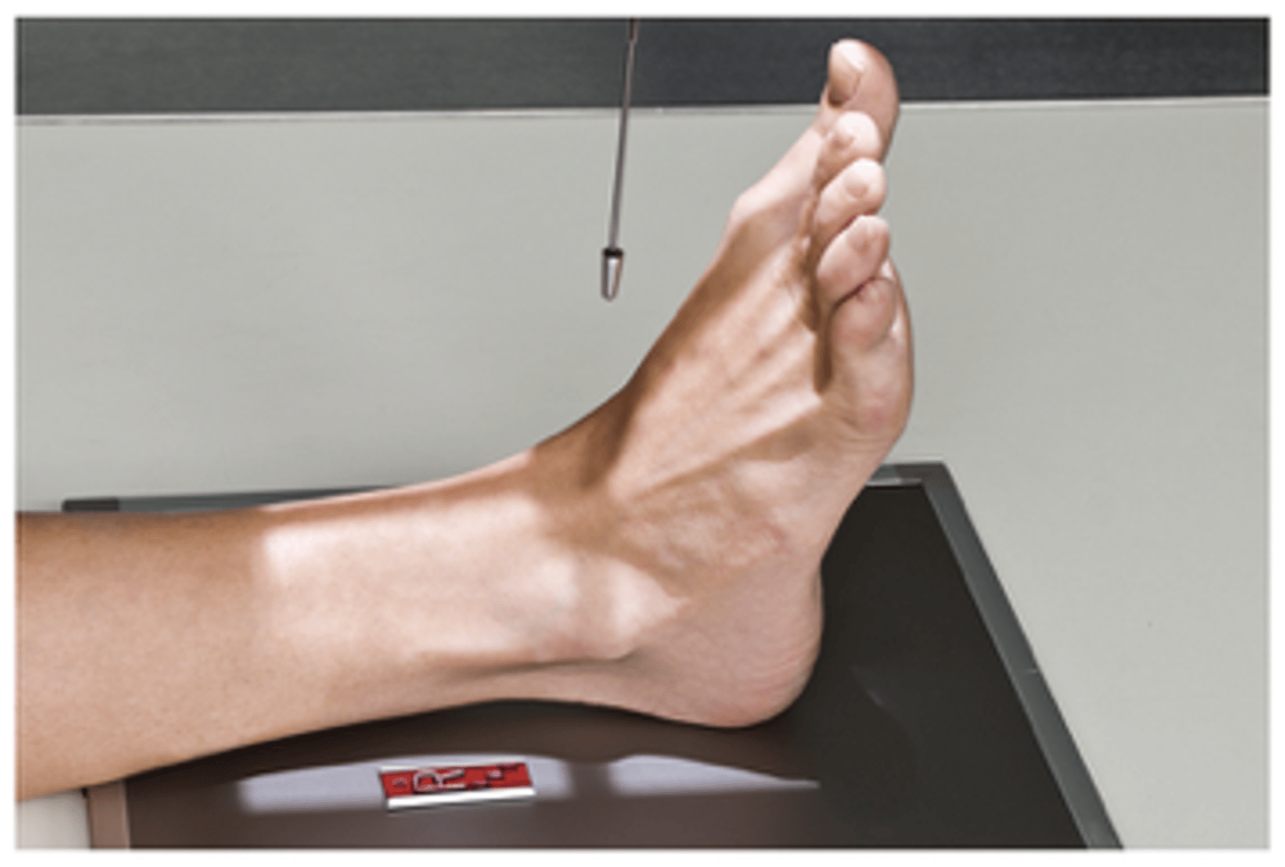 <p>What projection is this?</p>