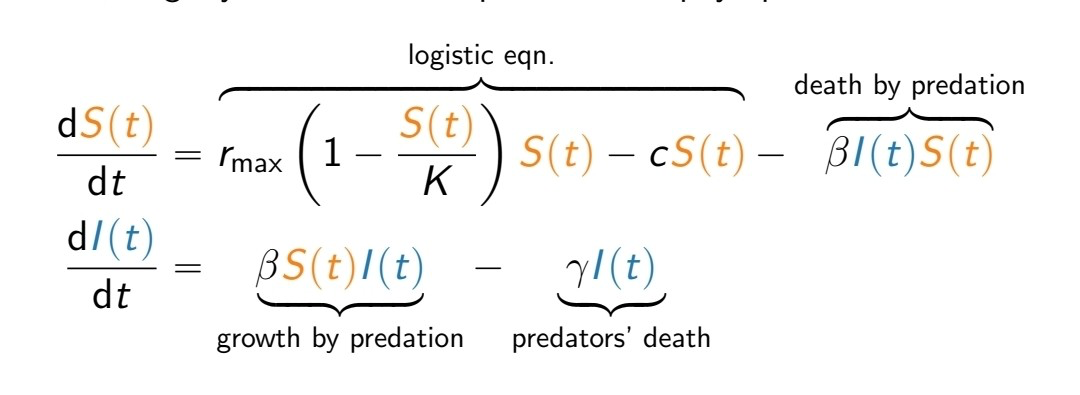 <p>Prey-Predator Model</p>